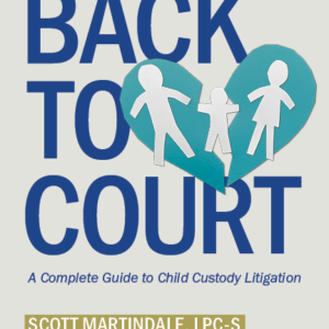 Back to Court: A Complete Guide to Child Custody Litigation
